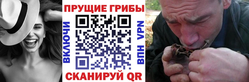 darknet как зайти  Балабаново  Галлюциногенные грибы Cubensis 