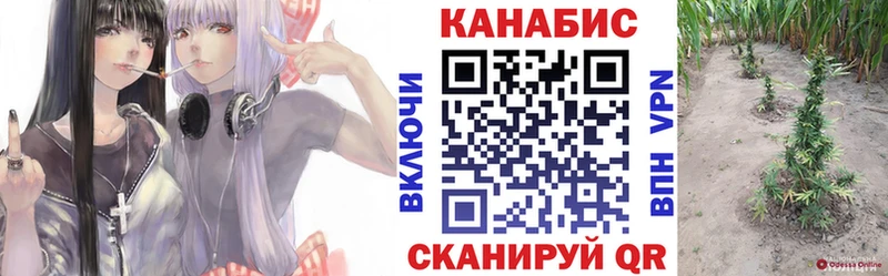 где купить наркоту  Балабаново  блэк спрут маркетплейс  Канабис MAZAR 